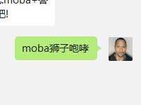 肉盾光芒狮王-莱昂的哪项技能拥有使敌人短暂眩晕的效果?