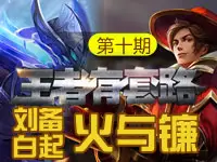 【王者有套路】第十期 刘备搭配白起火与镰之歌