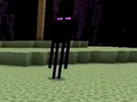 哲爷和成哥PE版1.0生存9 消失的折跃门