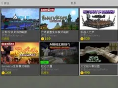 籽岷的PE版 最新1.1.0新商店试玩