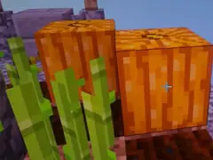 红小队我的世界三位一体空岛生存3