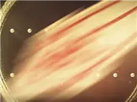 【狄仁杰封神榜】第37期 开挂还被虐！是怎样的悲伤十级体验