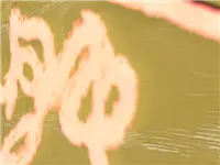 【狄仁杰封神榜】消极游戏别嚣张 一朝禁赛就凉凉