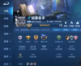 王者荣耀主页星星是什么东西 主页四角星有什么用
