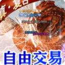 龙城决冰雪单职业最新下载