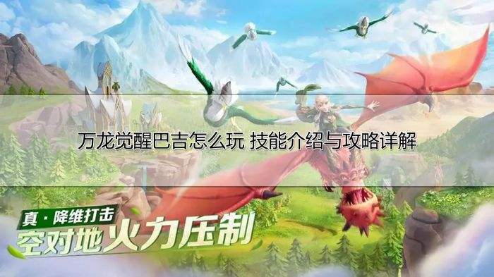 万龙觉醒巴吉怎么玩 技能介绍与攻略详解