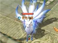 倩女幽魂手游个人心得和经验总结
