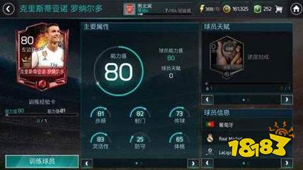 FIFA足球世界