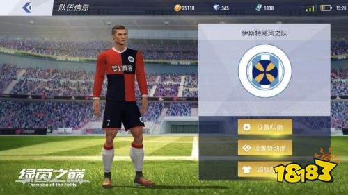 绿茵之巅