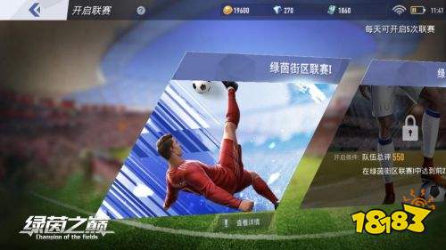 绿茵之巅