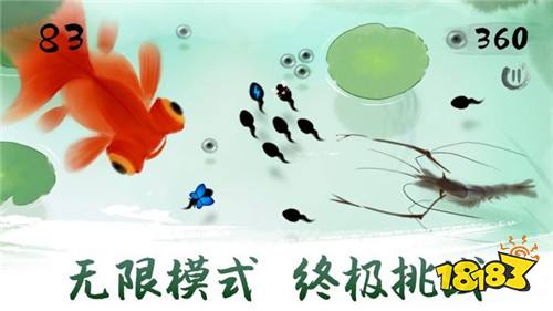 墨虾探蝌