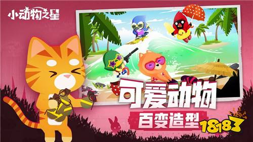 小动物之星