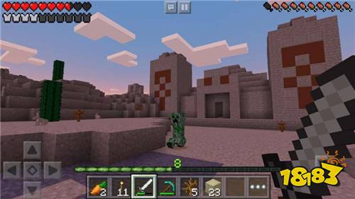 我的世界1.16.5