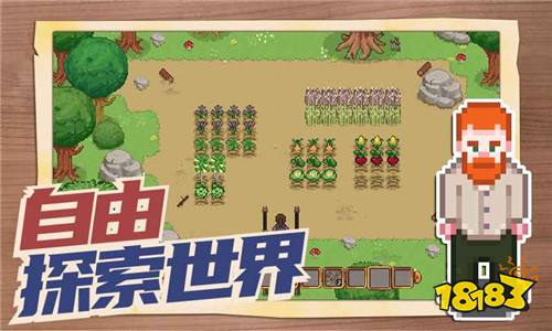 透视Watch测试版下载
