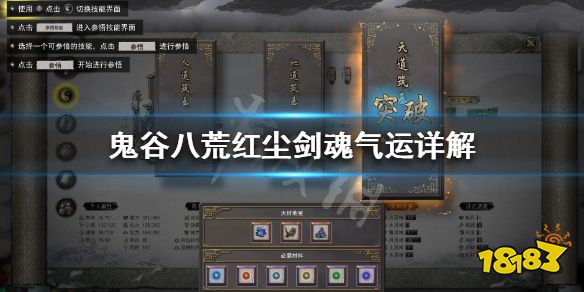 鬼谷八荒红尘剑魂配什么
