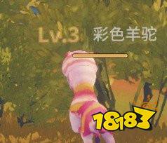 1_副本.jpg