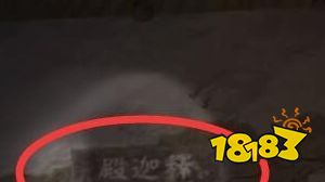 孙美琪疑案梵净释迦殿在哪里 五级线索释迦殿牌匾位置图文攻略