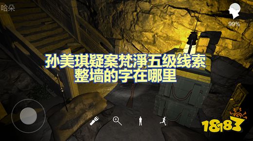 孙美琪疑案梵净整墙的字在哪里 五级线索整墙的字位置图文攻略