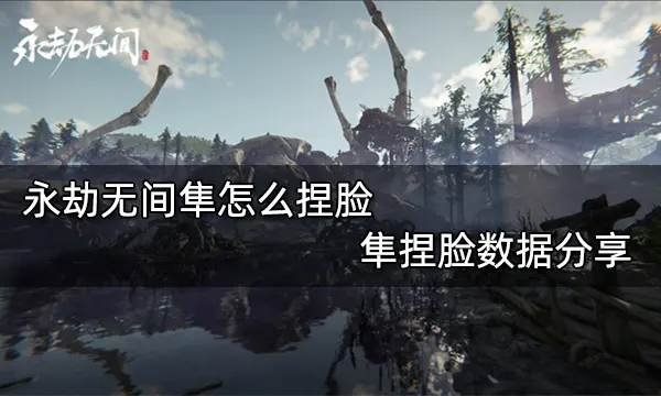 永劫无间隼怎么捏脸 隼捏脸数据分享