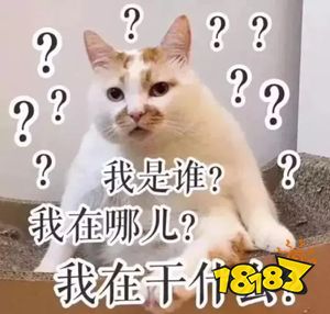 大卖1000个W后，老头环也开始被更多人黑了