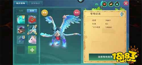 创造与魔法苍穹幻龙全面解析与展示