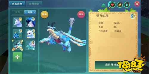 创造与魔法苍穹幻龙全面解析与展示