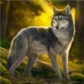 荒野狩猎生存正式版