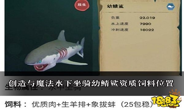 创造与魔法水下坐骑幼鲭鲨资质饲料位置攻略