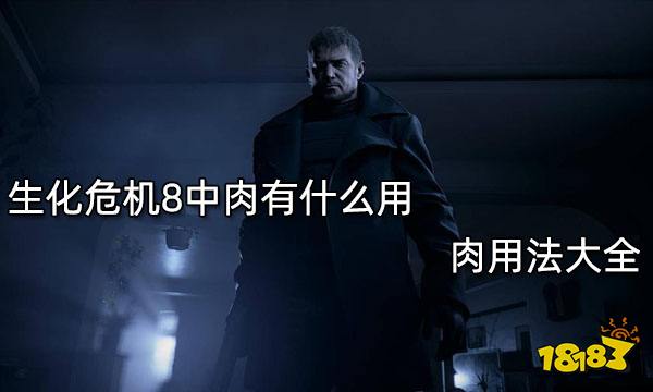 生化危机8中肉有什么用 肉用法大全