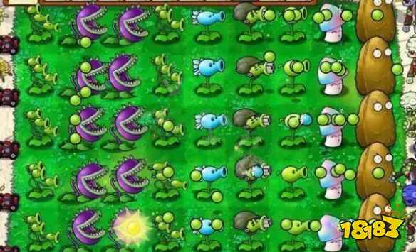 植物大战僵尸最强阵型 五种强力阵型分享