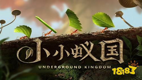 小小蚁国下载