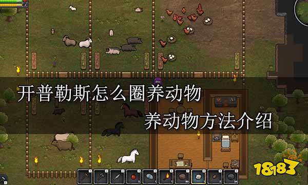 开普勒斯怎么圈养动物 养动物方法介绍