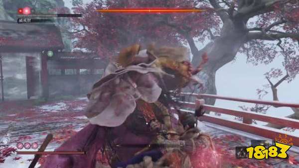 只狼神之飞雪怎么刷 刷神之飞雪位置分享