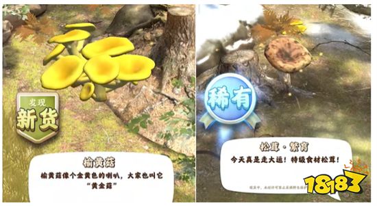 《多损高手》游戏评测 山上的笋都被我夺完啦!