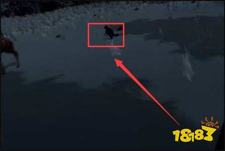 森林浣熊在哪 浣熊获得攻略