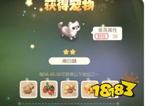 奥比岛梦想国度怎么抓宠物 捕捉宠物攻略