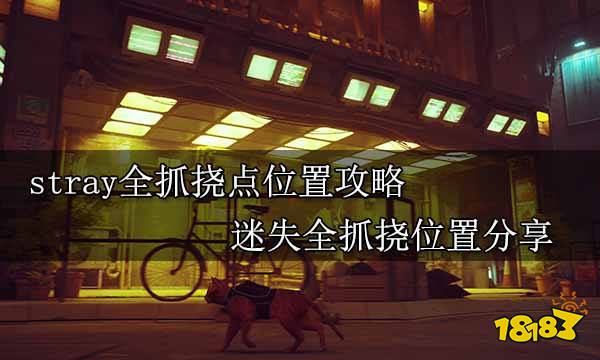 stray全抓挠点位置攻略 迷失全抓挠位置分享