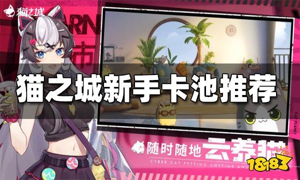 猫之城新手卡池抽取推荐 新手抽哪个卡池好