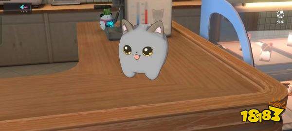 猫之城猫球怎么养成 猫球养成攻略