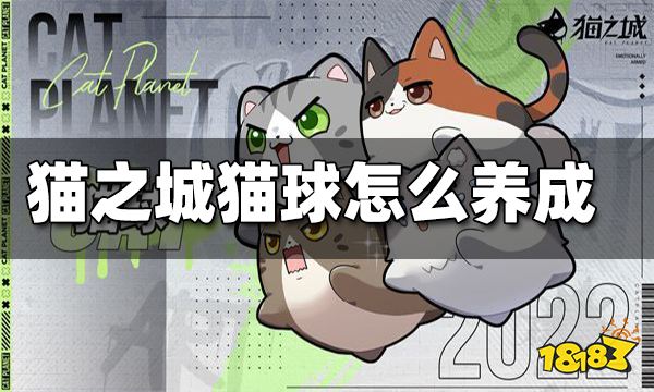 猫之城猫球怎么养成 猫球养成攻略