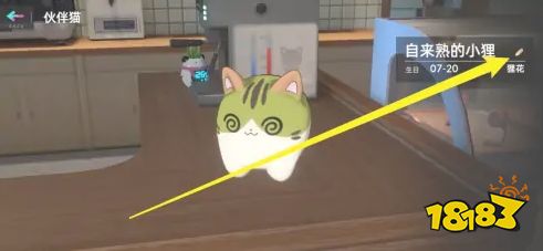 猫之城怎么改名 改名方法分享
