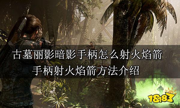 古墓丽影暗影手柄怎么射火焰箭 手柄射火焰箭方法介绍