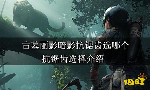 古墓丽影暗影抗锯齿选哪个 抗锯齿选择推荐