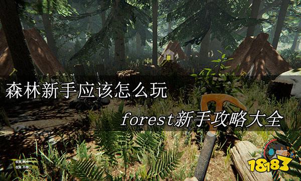 森林新手应该怎么玩 forest新手攻略大全