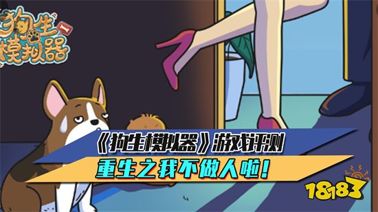《狗生模拟器》游戏评测 重生之我不做人啦!