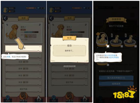 《狗生模拟器》游戏评测 重生之我不做人啦!