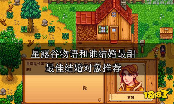 星露谷物语和谁结婚最甜 最佳结婚对象推荐