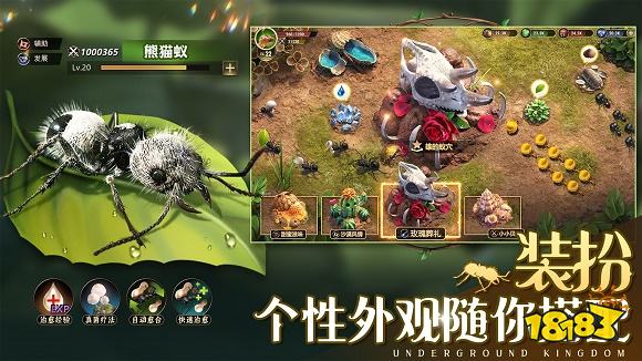 小小蚁国下载链接