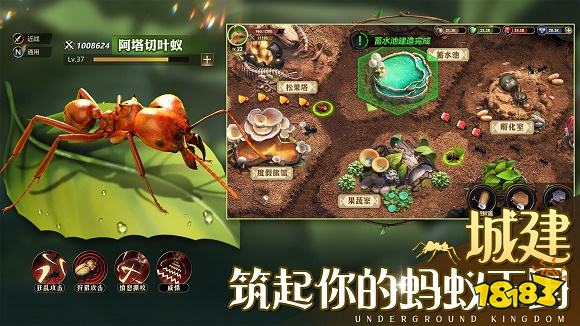 小小蚁国下载链接