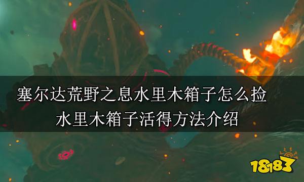 塞尔达荒野之息水里木箱子怎么捡 水里木箱子活得方法介绍